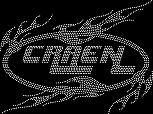 CRAEN- FULL BLING HOODIE