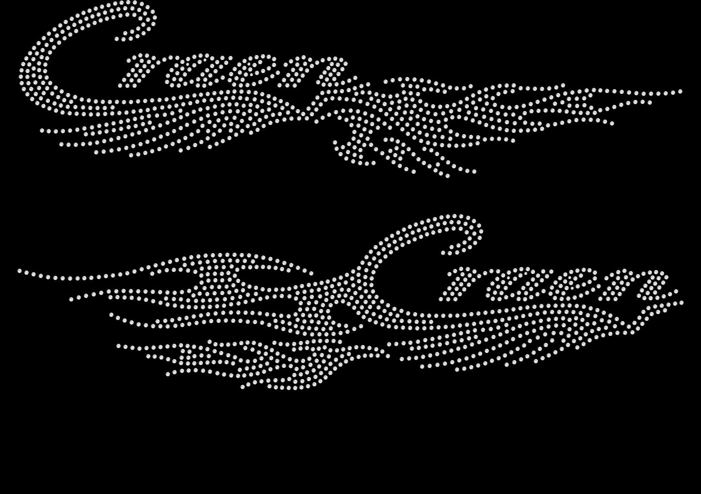 CRAEN- FULL BLING HOODIE